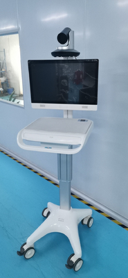 単一のScreen Medical Mobile Workstation Class I 1920x1080 iPS