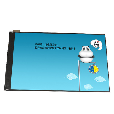 B101UAN07.1 10.1インチ 1000:1 1200*1920 LCD画面
