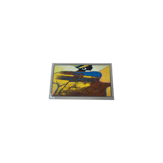 オリジナル 15.0インチ CLAA150XP06CW 1024*768 16.7M LCDスクリーン