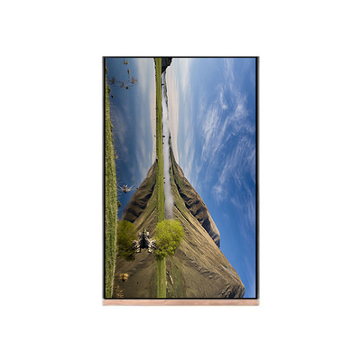 NV103WUM-N61 10.3インチ 1200*1920 パッドタブレット用液晶ディスプレイ