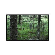 TV101WUB-NW1-D9P0 10.1インチ 1200*1920 LCD パネルディスプレイ