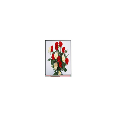 720*1480 LCD画面ディスプレイ パネル 6.3 インチ C063SWR1-0