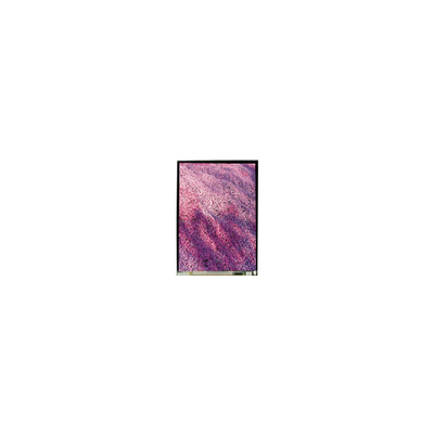 5.2 INCH LS052T3SX15 1080*1920 LCDスクリーンディスプレイ