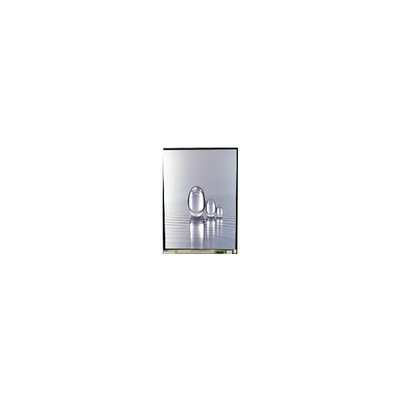 LS038Y7DX01 3.8インチ 480*800 LCD画面