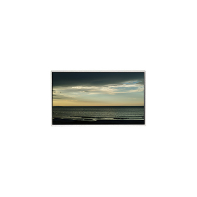TT101WSB-NW0 LCD パネル 10.1 インチ 1024*600 LCD ディスプレイ