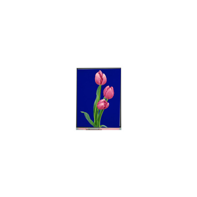C055SWF4 R0 LCD モジュール 5.5 インチ TFT LCD ディスプレイ