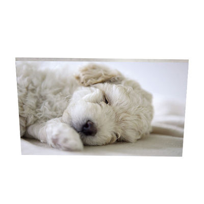 良い値段 AUO AUO 23.8