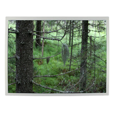 良い値段 12.1インチ82ppi lcdスクリーンLQ121S1LG79産業LCD TFTの表示 オンライン