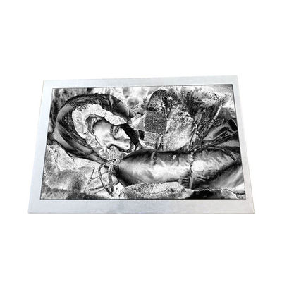 良い値段 インダストリー TX13D06VM2BAA 5.0インチ 188PPI LCDスクリーン オンライン