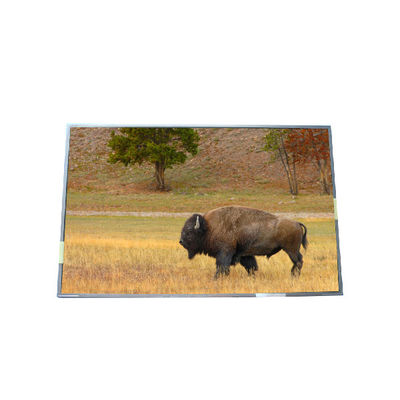 良い値段 供給 17.0インチ B170PW03 V5 99PPI TFT LCD パネル オンライン