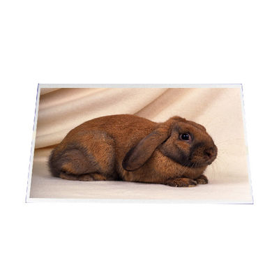 良い値段 B140RW03 V1 14.0インチ 1600*900 LCDスクリーンパネル オンライン