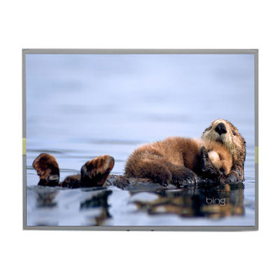 良い値段 LM2013-TLWEJ1 20.1インチ 1680*1050 TFT LCD パネルディスプレイ オンライン