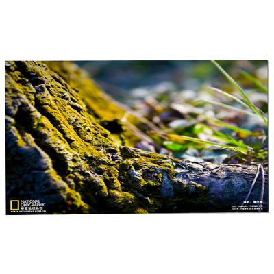 良い値段 LM238WF5-SSG4 23.8 LCDタッチスクリーン オンライン