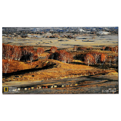 良い値段 LM238WF5-SSH1 レノボ用の新しいタッチディスプレイ オンライン