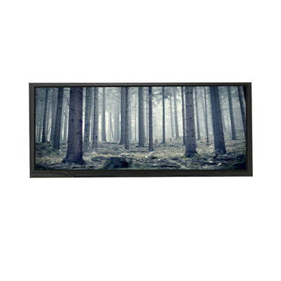 良い値段 AV103Z7M-N13-3850 10.3インチ液晶ディスプレイ LCDモジュール オンライン