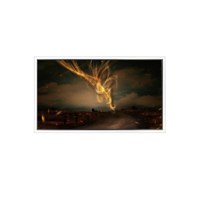 良い値段 28.0インチ 1920*2160 DV279SVB-NV0 LCDスクリーン ビデオ壁のための オンライン