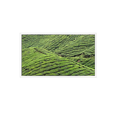 良い値段 DV320WHD-NT0 32.0インチ 1366*768 透明ディスプレイのためのLCD画面 オンライン