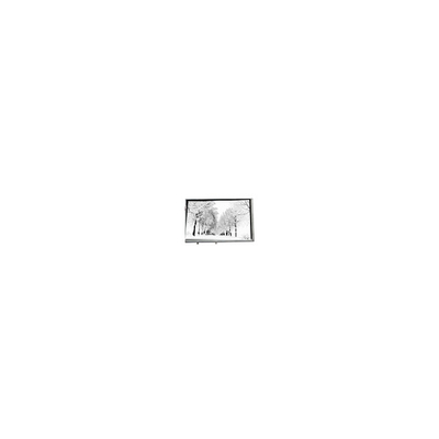 良い値段 8.8インチ 768*768 TPA088-001V02 16.7M 71% NTSC工業用液晶パネル オンライン