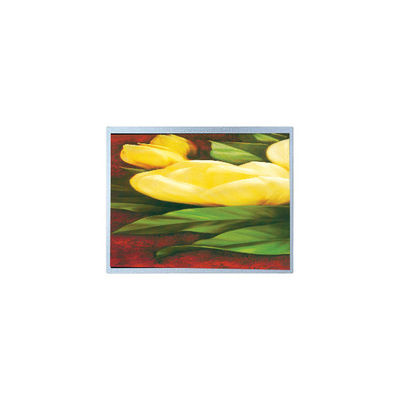 良い値段 ホットセール 12.1インチ AM-1024768R2TNQW-T00H 1024*768 TFT LCDスクリーン オンライン