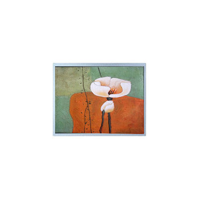 良い値段 15.5インチ AM-19201080F1TZQW-A0 屋外高明るさのLCD画面パネル オンライン