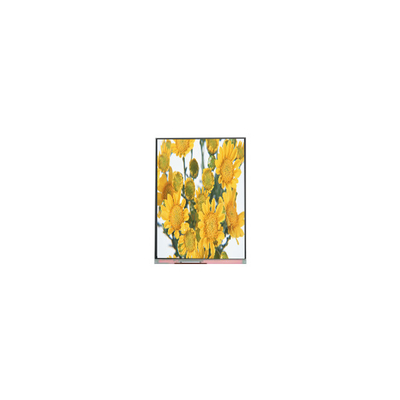 良い値段 C070SWP1 7.0インチ TFT LCD スクリーン パネル オンライン