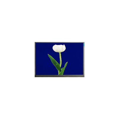 良い値段 M070SWP1 R4 800*480 7.0 インチ 500 cd/m2 TFT LCD 画面 部品 オンライン