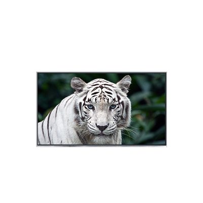 良い値段 B121EW05 V2 12.1インチ 新品LCDディスプレイ ラップトップ用 オンライン