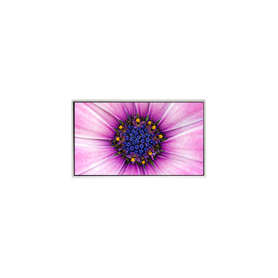 良い値段 7.0インチ TT070WVM-NW1 800*480 家電用液晶画面 オンライン