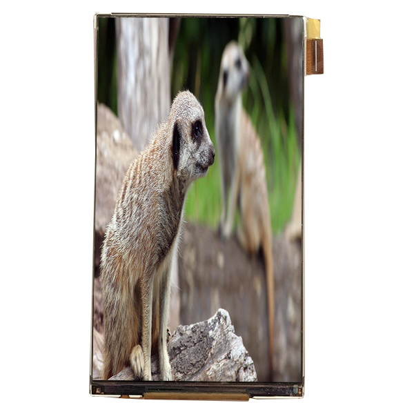 LQ055K3SX02 5.5インチ LCD モジュール インターフェイス 720*1280 車用LCDディスプレイ
