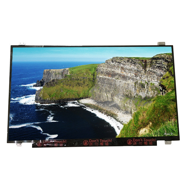 サイズ 17.3 インチ B173RTN02.1 30ピン TFT LCD パソコン用