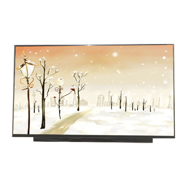 新品 17.3インチ B173HAN04.0 1920*1080 AUO用の127PPI液晶ディスプレイ