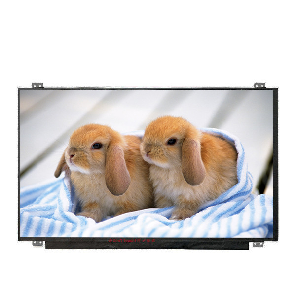 B156HAN04.4サイズ提供 15.6インチLCDディスプレイとLEDドライバー