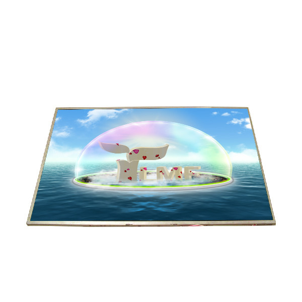 サイズ 15.4 インチ 60Hz 262K a-Si TFT-LCD B154EW02 V6 LCD パネル