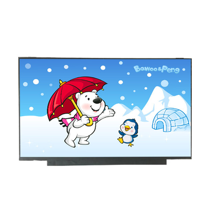 良い値段 AUO 垂直ストライプ 15.6 インチ LCD ペイン B156HTN06.1 1920*1080 141PPI オンライン