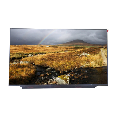 良い値段 RGB 1920×1080 60HzのラップトップLED LCDスクリーン17.3のインチLM173LF1F01 オンライン