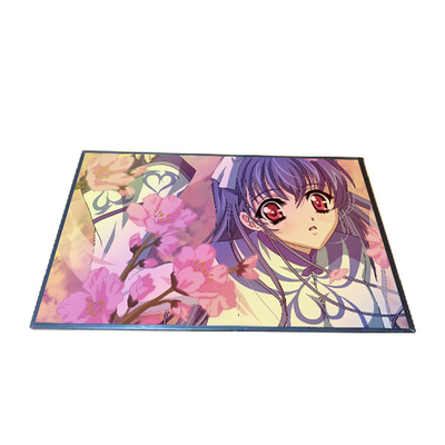 良い値段 10.1インチB101EAN02.2 TFT LCDスクリーン表示800*1280 オンライン