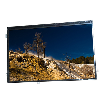 良い値段 HannStar ラップトップ Lcd スクリーン表示パネル HSD101PWW2-A01 ASUS TF201 オンライン