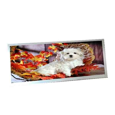 良い値段 AUO C123HAN02.5 12.3インチ40ピンLCDディスプレイのために オンライン