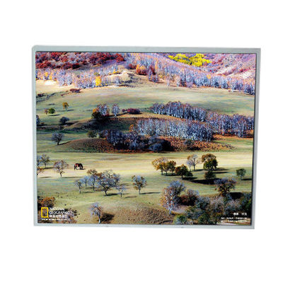 良い値段 LM200WD1-TLA9 20.0インチ 1600*900 TFT LCDディスプレイ オンライン