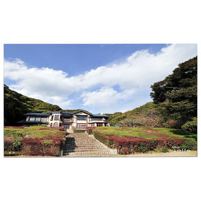 良い値段 LM215WFA-SSE1 タッチ液晶画面 1920*1080 FHD レノボ 01AG987 オンライン