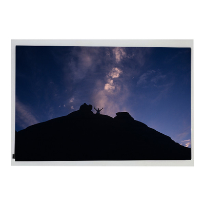良い値段 LM310UH1-SLA1 新しい31.0インチ メディカル液晶画面 オンライン