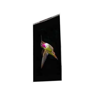 良い値段 BS062FBE-L30-6Q00 6.3インチ液晶ディスプレイ 携帯電話用液晶画面 パネル オンライン