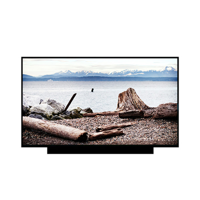 良い値段 18.4インチ 3840*2160 EV184QUM-N80 1000 cd/m2 医療イメージング用液晶画面 オンライン