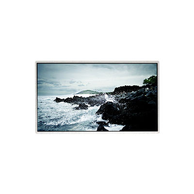良い値段 1366*768 HF236WHB-F20 23.6インチ液晶ディスプレイパネル オンライン