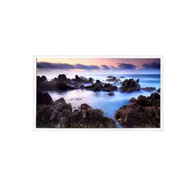 良い値段 TV201U0M-N00 20.1インチ 1600*1200 1000:1 LCD画面 パネルディスプレイ オンライン