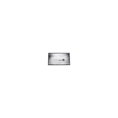 良い値段 640*480 3.5インチ PD035VX1 262K プロジェクター用液晶画面 オンライン