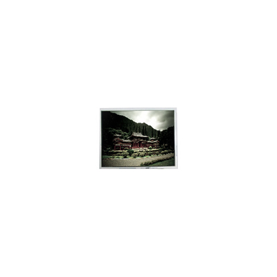 良い値段 480*640 PD050VX4 5.0インチ 262K 400:1 LCD画面 パネル オンライン