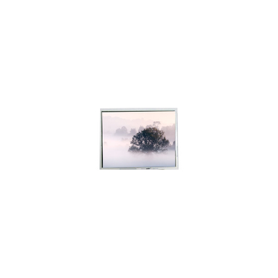良い値段 オリジナル5.7インチ 640*480 AM-640480VTZQW-31H 40ピンLCD画面 パネル オンライン
