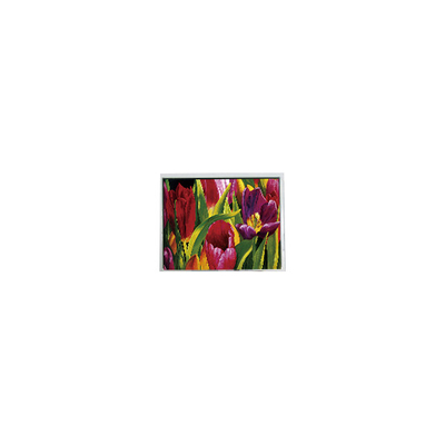 良い値段 AM-800480LATMQW-TN0H-L 800*480 5.0インチ 3S6P WLED LCD パネル オンライン
