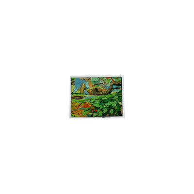 良い値段 オリジナル 800*480 5.0インチ AM-800480NGTZQW-01H 45ピン WLED LCD画面 パネル オンライン